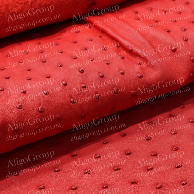 Aligo Group фото