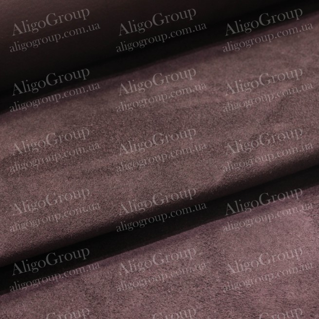 Aligo Group фото