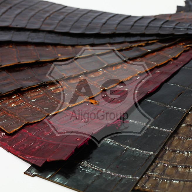 Aligo Group фото