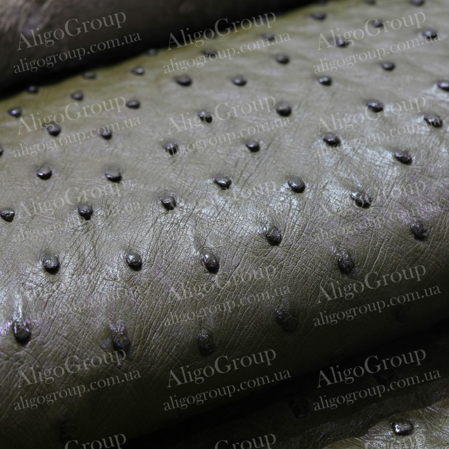 Aligo Group фото