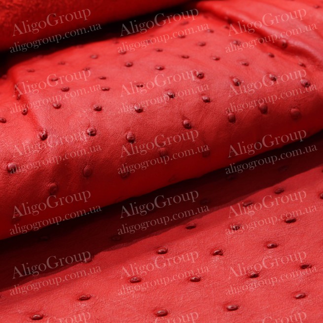 Aligo Group фото