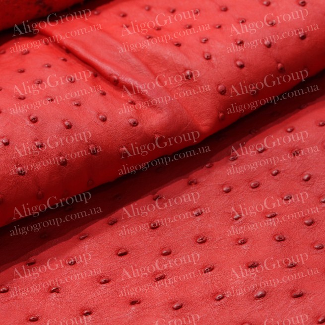Aligo Group фото