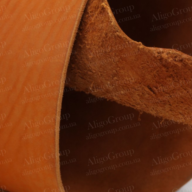 Aligo Group фото