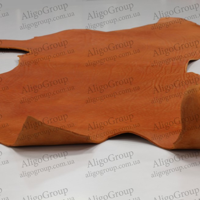 Aligo Group фото