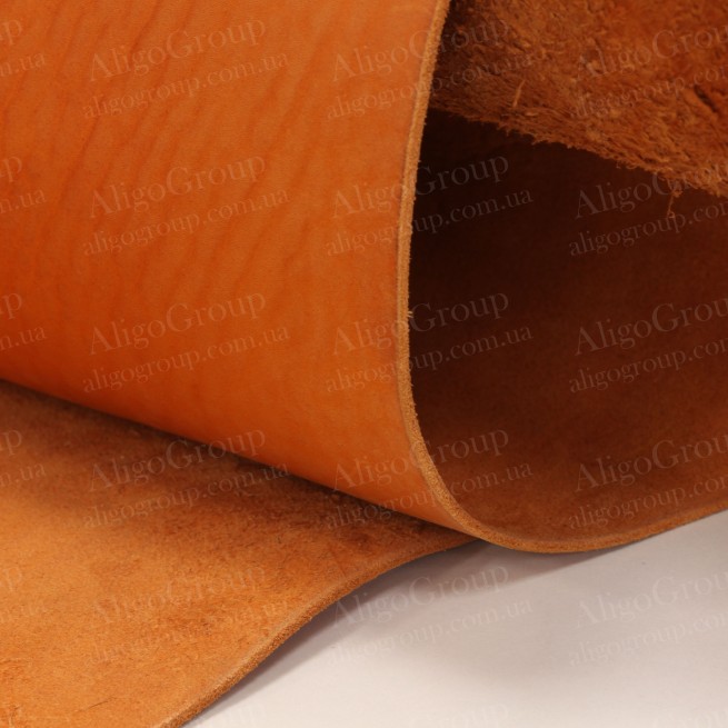 Aligo Group фото