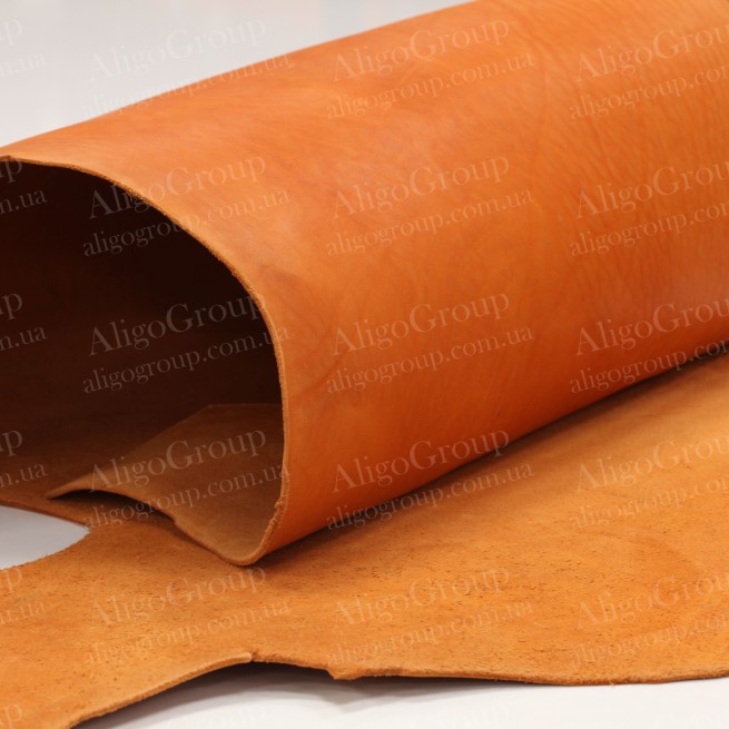 Aligo Group фото
