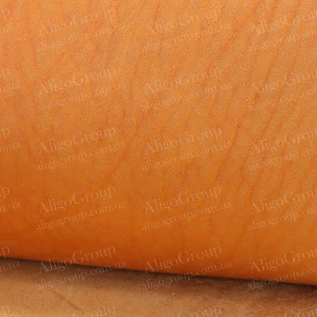 Aligo Group фото