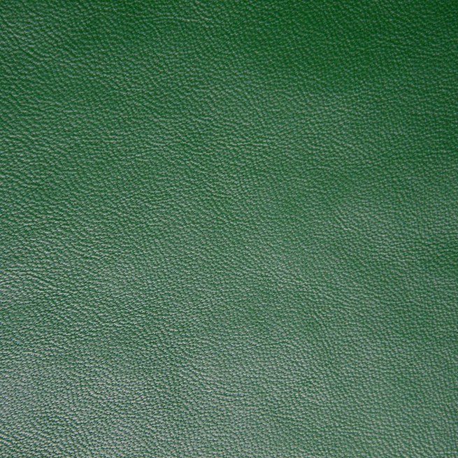 Aligo Group фото