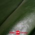 Шкіра ВРХ Vegetale RUSTIK зелений блиск 1,6-1,8