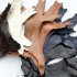 Лапы куриные коричневый темный глянец фото