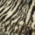 Мех дубленочный Тоскана DF Наппалан Зебра белый черный  фото