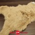 Мех дубленочный Тоскана DF Наплак Кракелюр беж коричневый фото