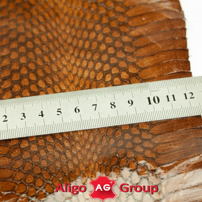 Змея натуральная коричневый каштан Италия фото