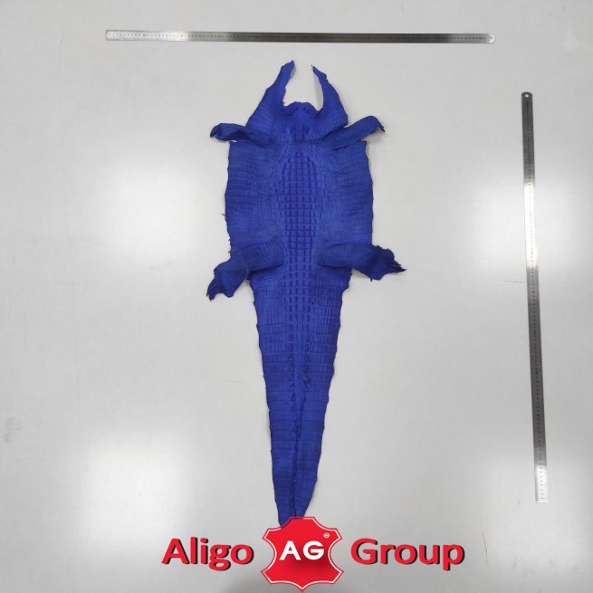Крокодил кайман синій 36 см