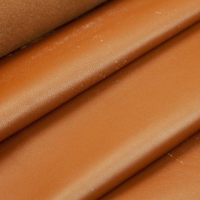 Aligo Group фото