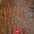 Ворот ременной Vegetale DOUGLAS FASHION коричневый виски 2,8-3,0 Италия фото