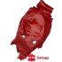Кожа Игуаны натуральная лак красный лава Италия фото