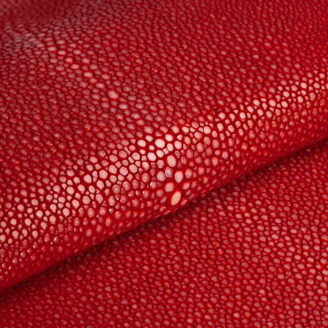 Aligo Group фото