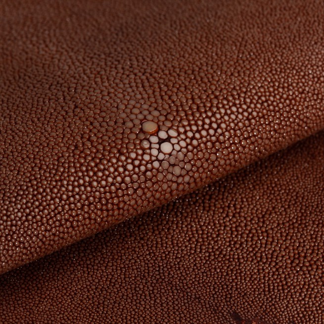 Aligo Group фото