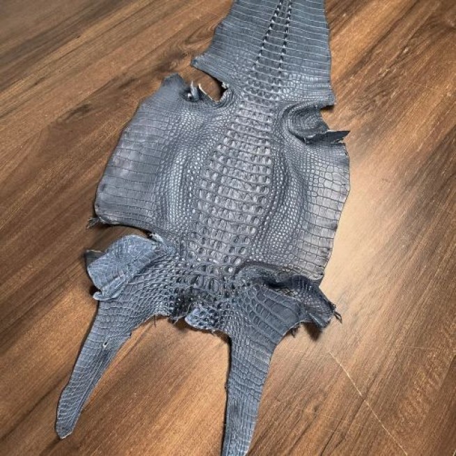 Крокодил натуральный серый (разрез по животу) фото