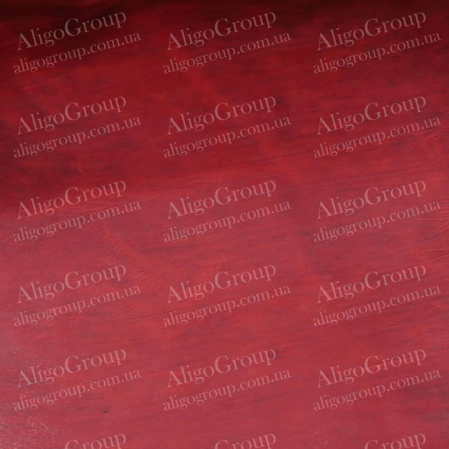 Aligo Group фото