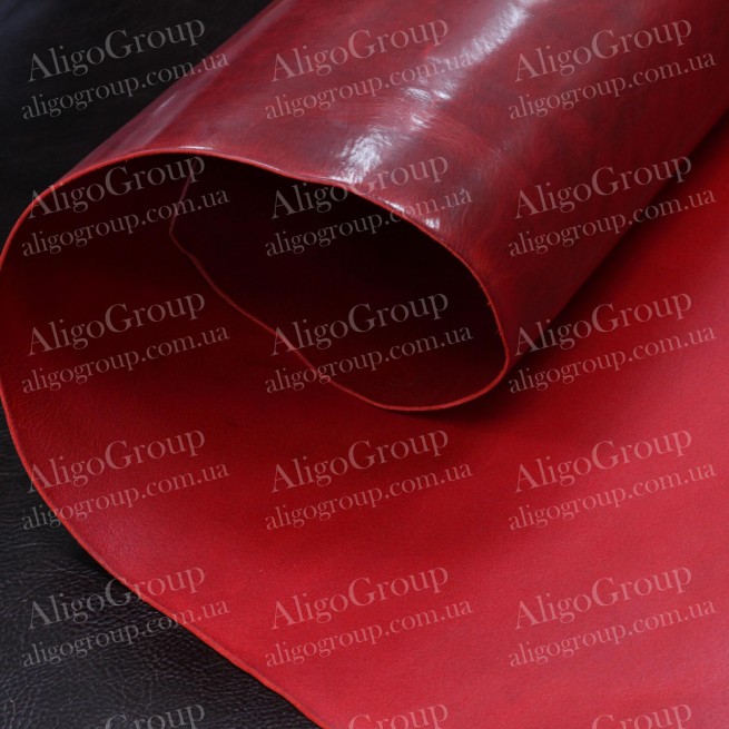 Aligo Group фото